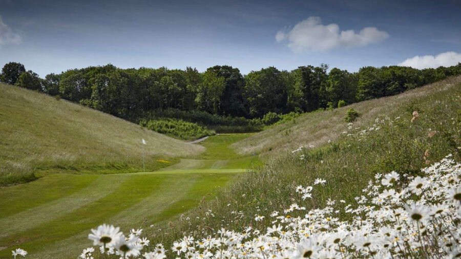 Royston GC