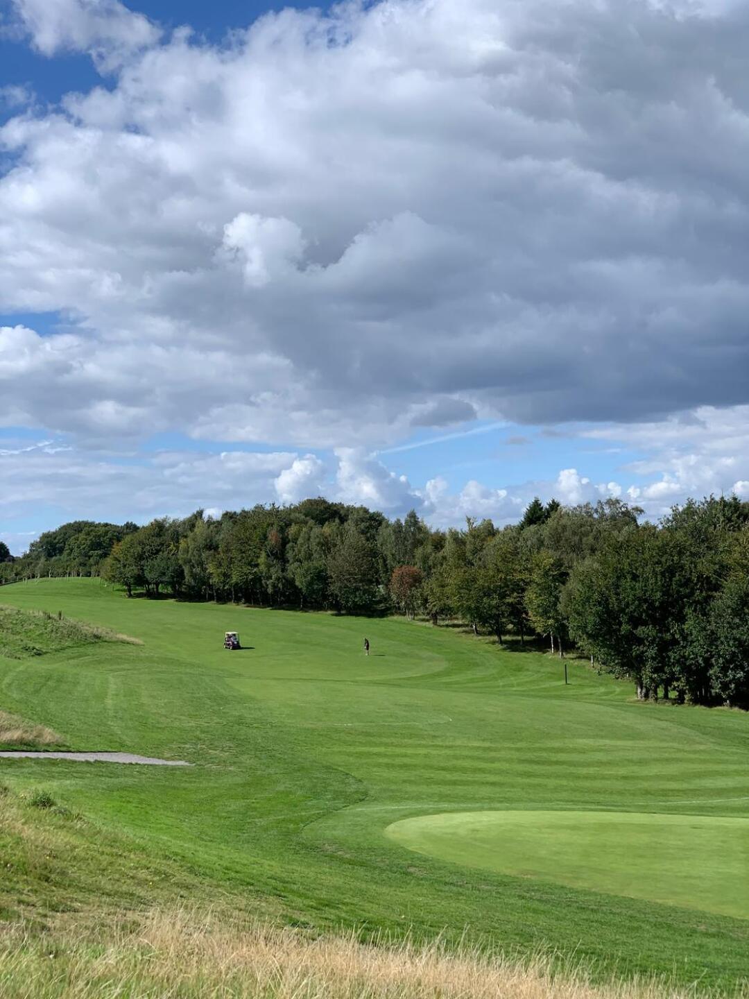 (Photo submitted by u314160478721 on 09/06/2020)