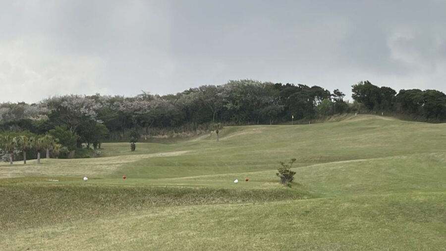 Izu Oshima Resort GC: #5