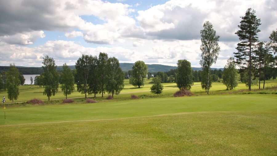 Uddeholms GC: #12