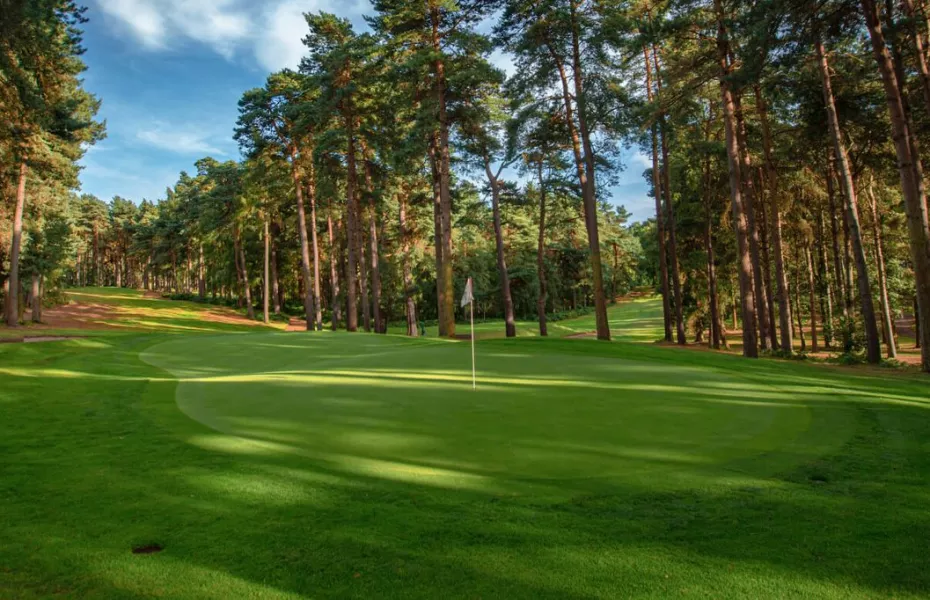 Woburn GCC - Duchess'