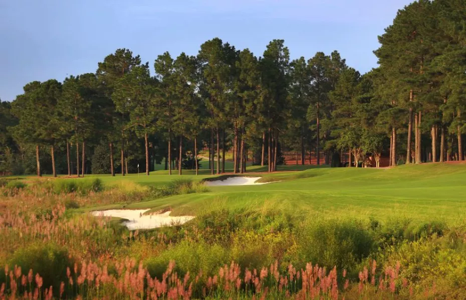 Pinehurst Resort & CC - No. 8: #14