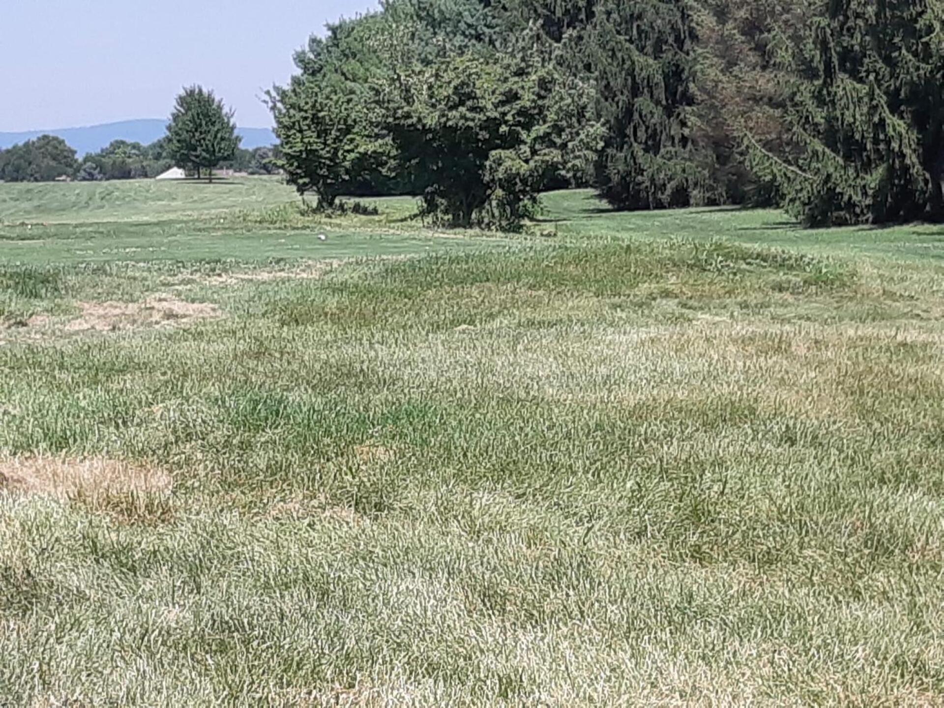 (Photo submitted by u136004912a on 08/18/2019)