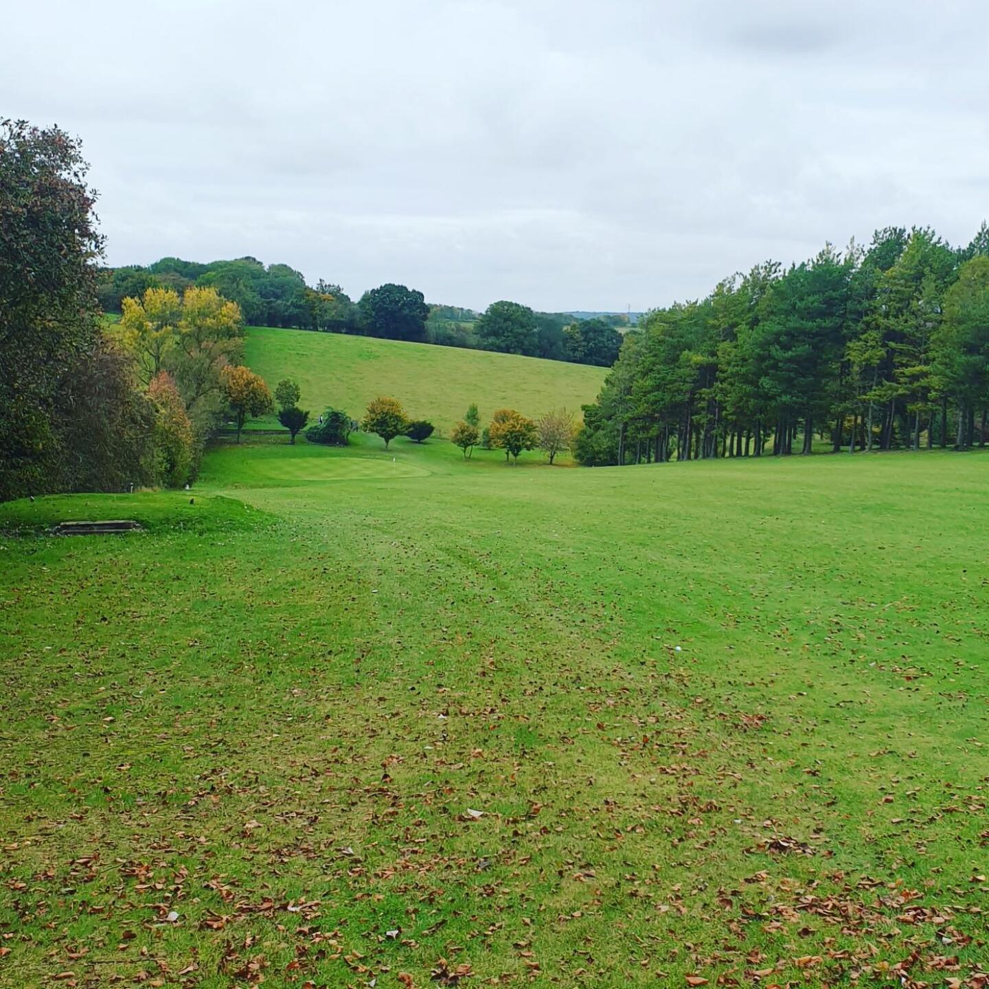 5th hole (Photo submitted by PAULTURNER83 on 10/19/2020)