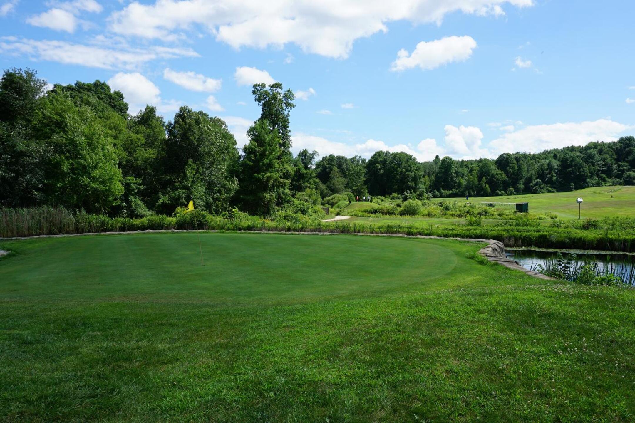 Green nine (from behind): The course's best hole is fronted and sided by water, with a bail-out behind green. (Photo submitted by AptlyLinked on 07/13/2020)