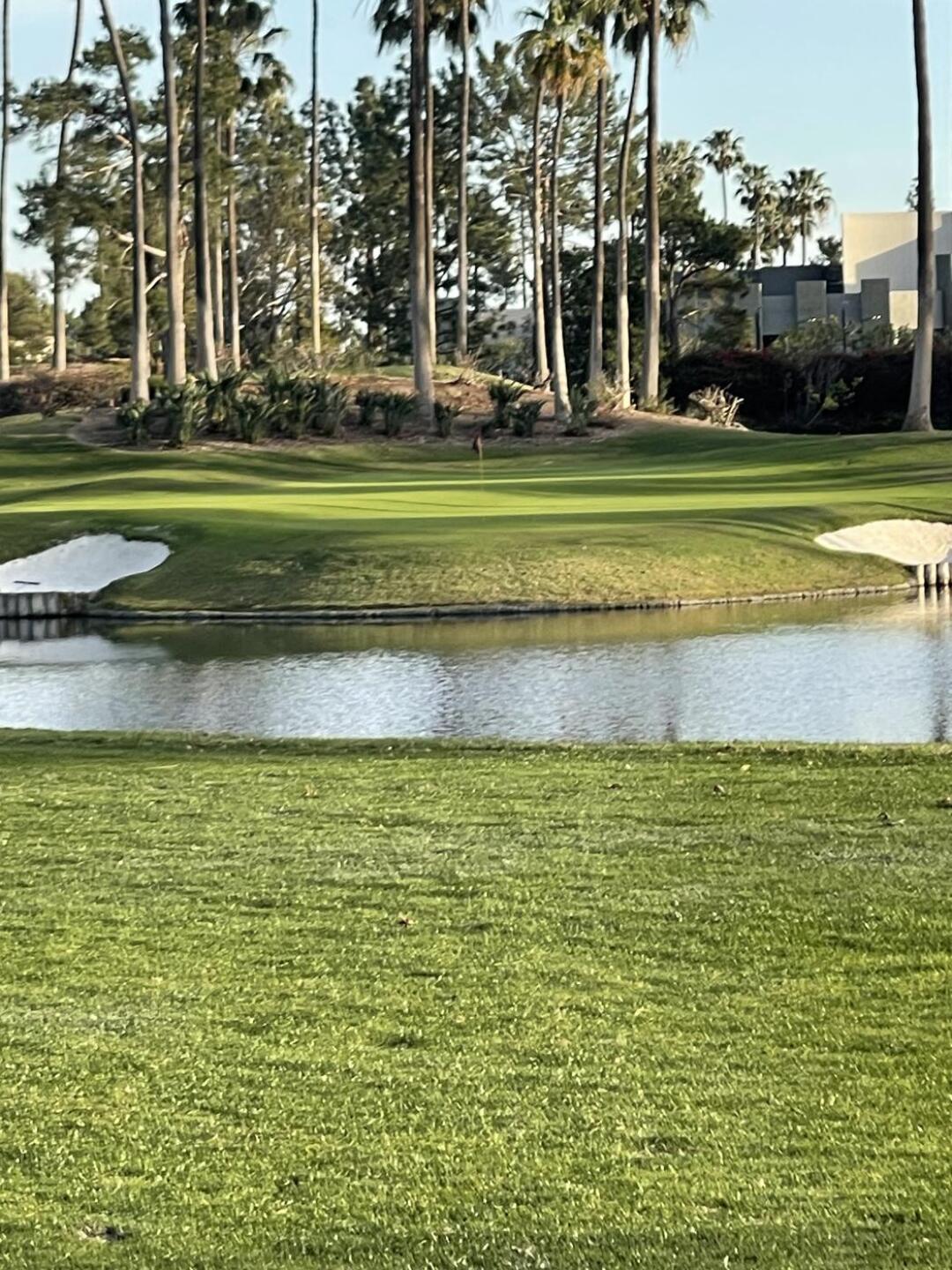 (Photo submitted by letsroll611 on 02/25/2025)