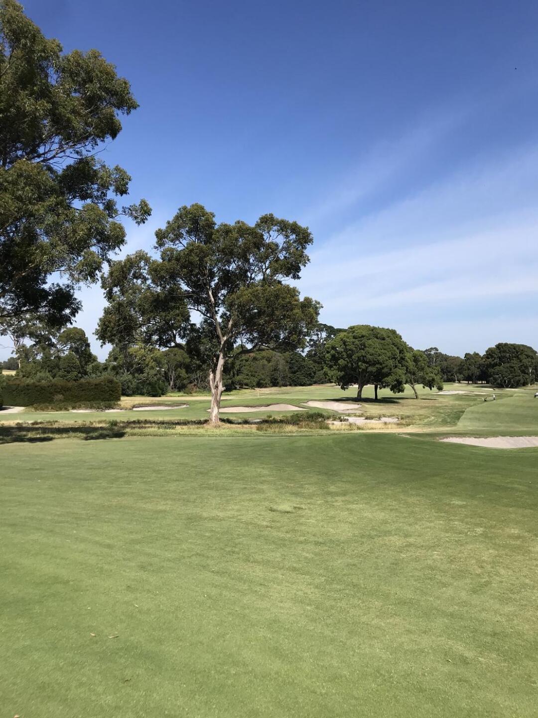 10th green (Photo submitted by theglasseyegolfer on 03/13/2021)