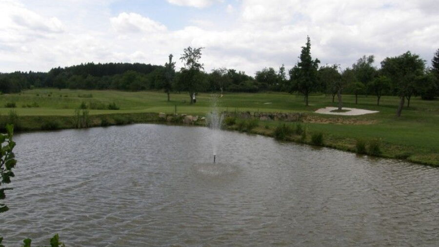 GC Alfredov