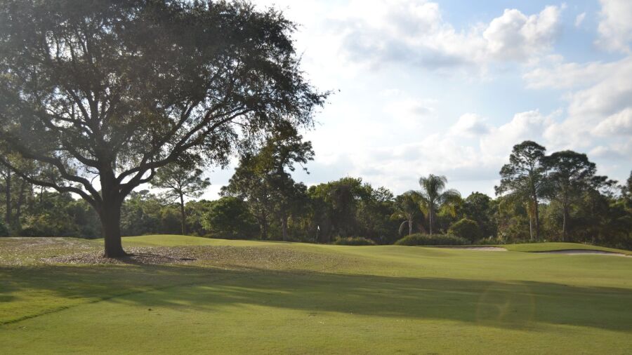 Martin Downs CC - Osprey Creek