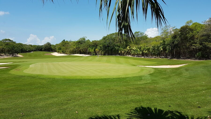 Gran Coyote Golf Riviera Maya: #14