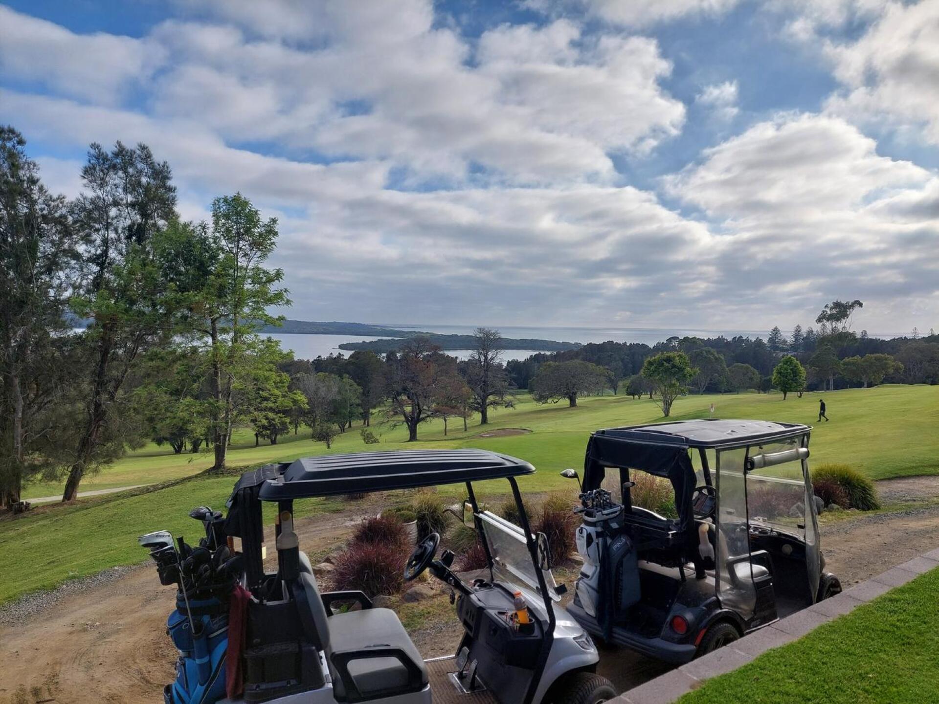 (Photo submitted by n2ptgegp4POEgMDiU9W9 on 10/16/2025)