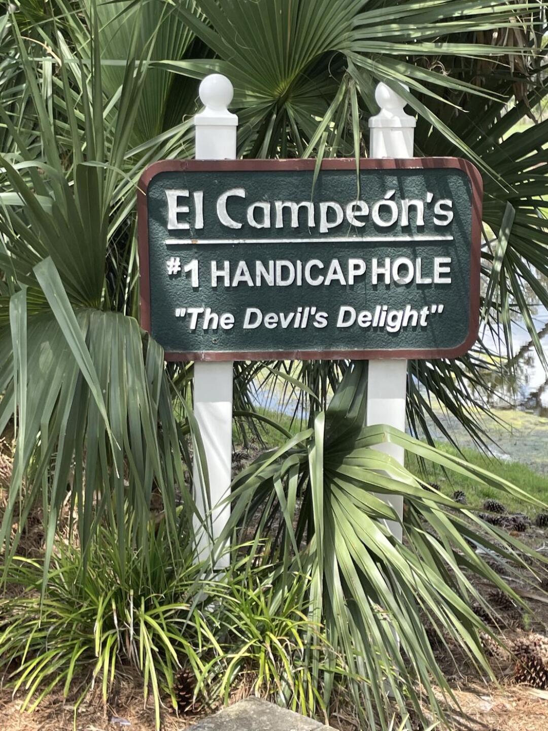 Signature hole.  #17...518 yard par five.  Lucky to get there with three "above my skill level" shots, then three putts!!! (Photo submitted by ChristieSciacca on 05/11/2021)