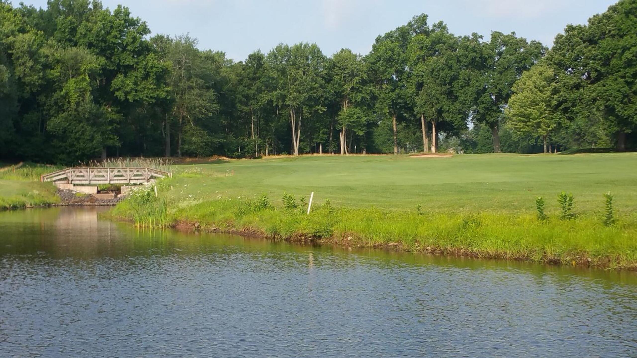 (Photo submitted by GFIPMA8WkYfLj5FTwsC3 on 08/27/2020)