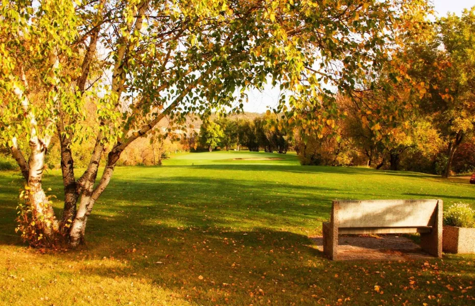 Minnedosa CC