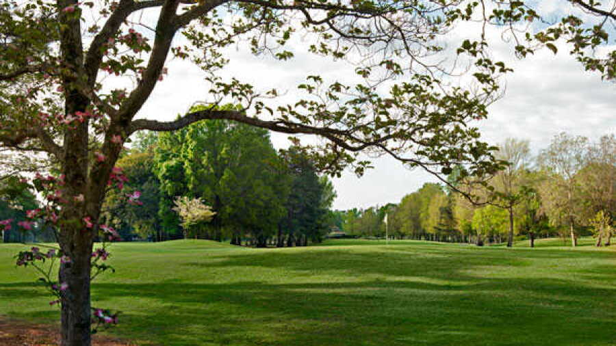 Lagoon Park GC: #4