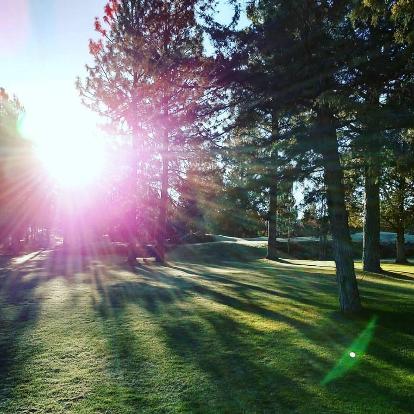 Early tee times are rewarded (Photo submitted by sorenj on 04/23/2017)