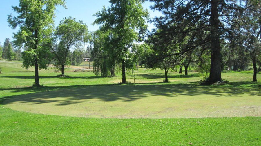 Gator Creek GC