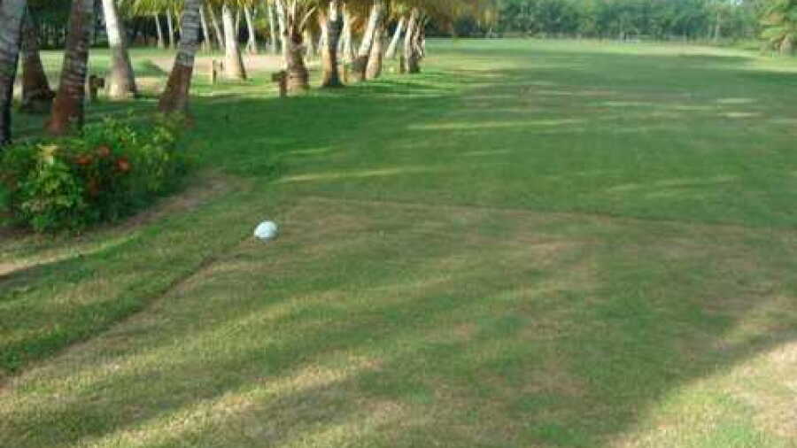 Los Canales GC