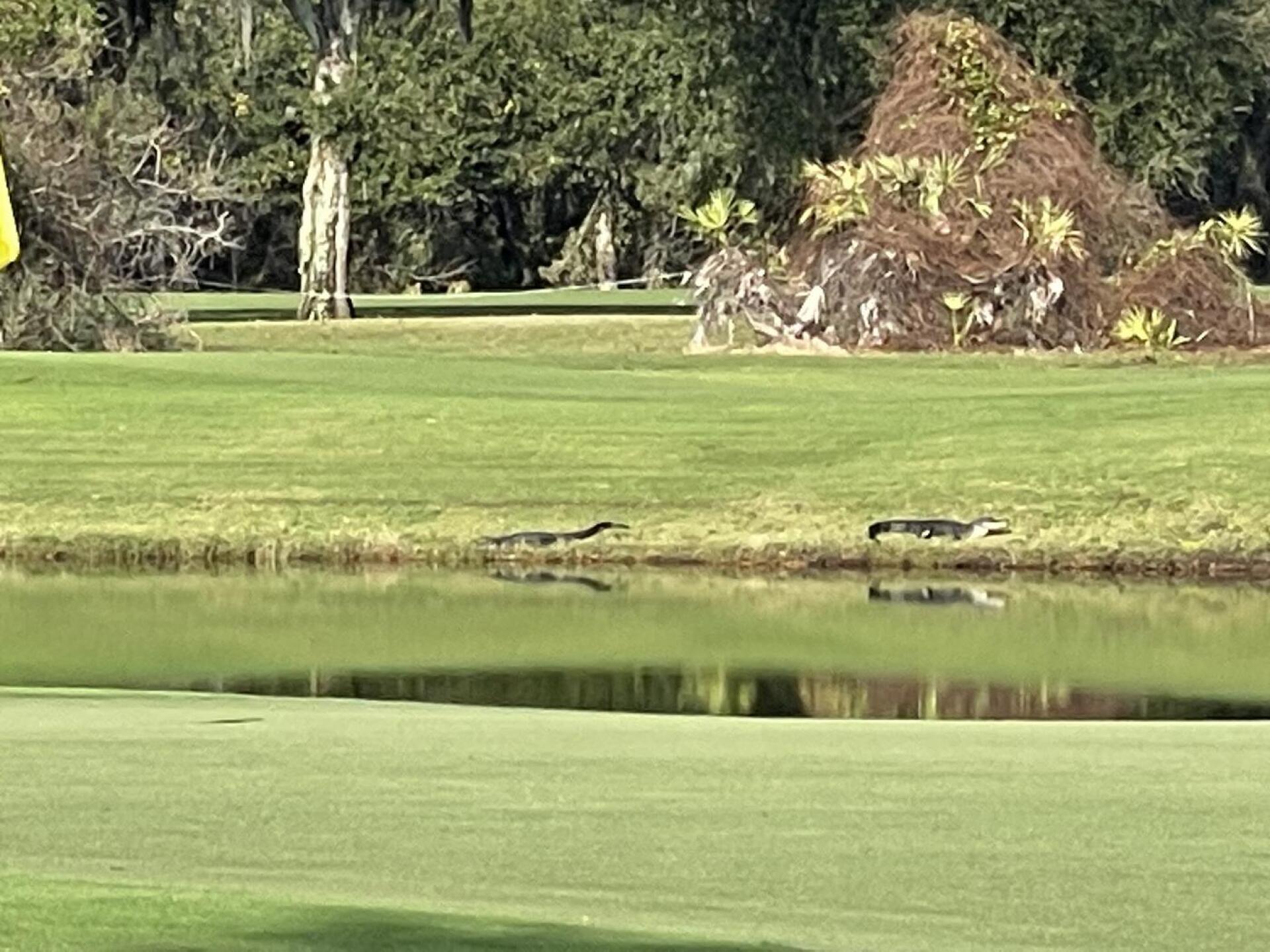 (Photo submitted by Houcher144 on 11/16/2022)