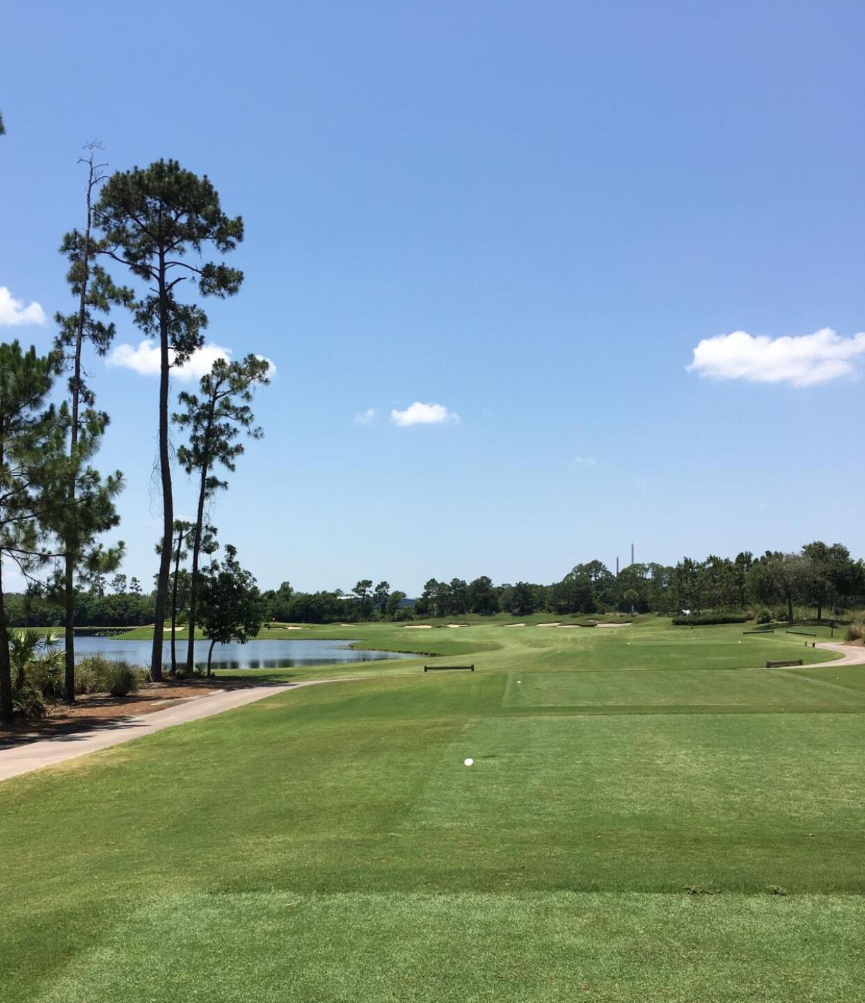 (Photo submitted by u777781240 on 05/26/2019)