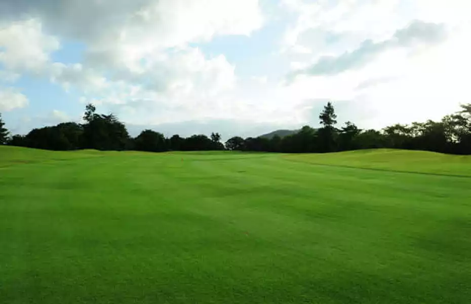 Mukonodai GC: #4