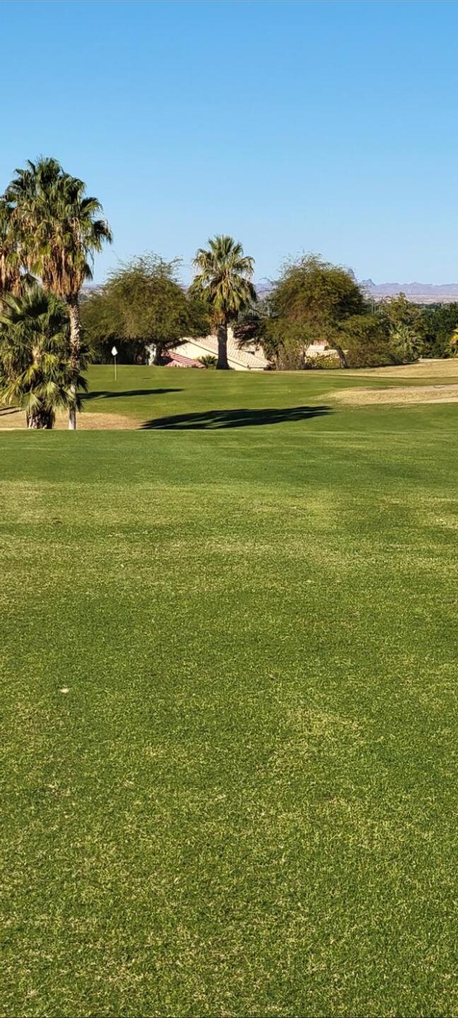 (Photo submitted by gc1207589121 on 12/11/2022)