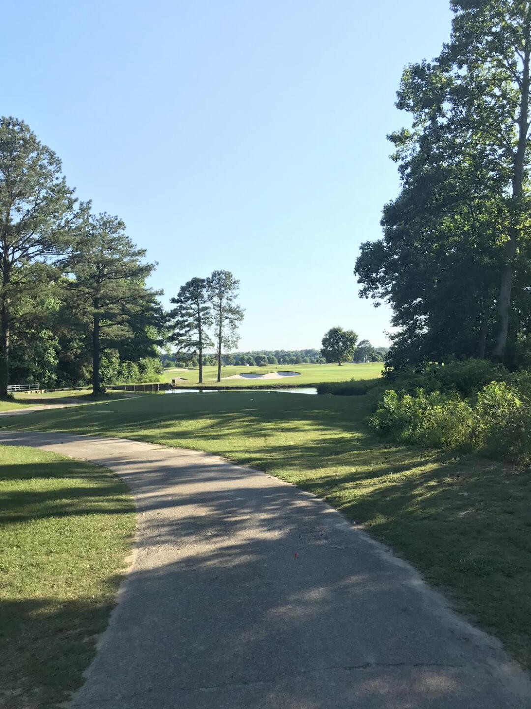 Our favorite par 3!! (Photo submitted by Martha6288409 on 06/26/2022)
