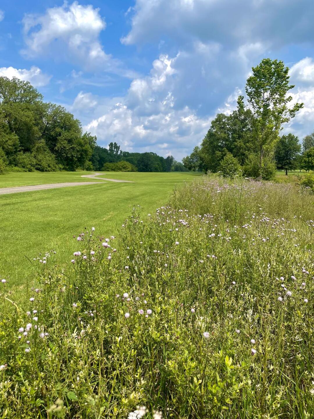 (Photo submitted by MiggyTG5 on 07/08/2021)