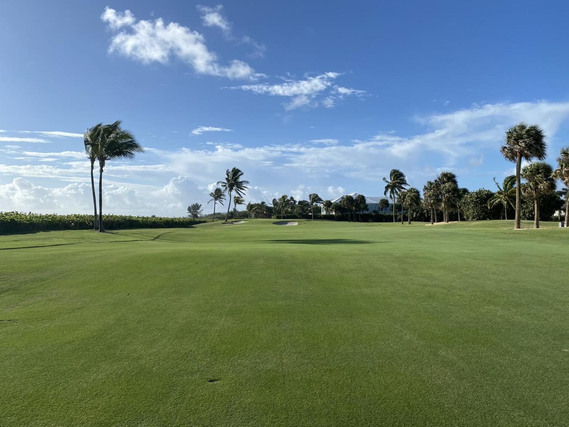 (Photo submitted by xkyleclark3 on 10/23/2020)