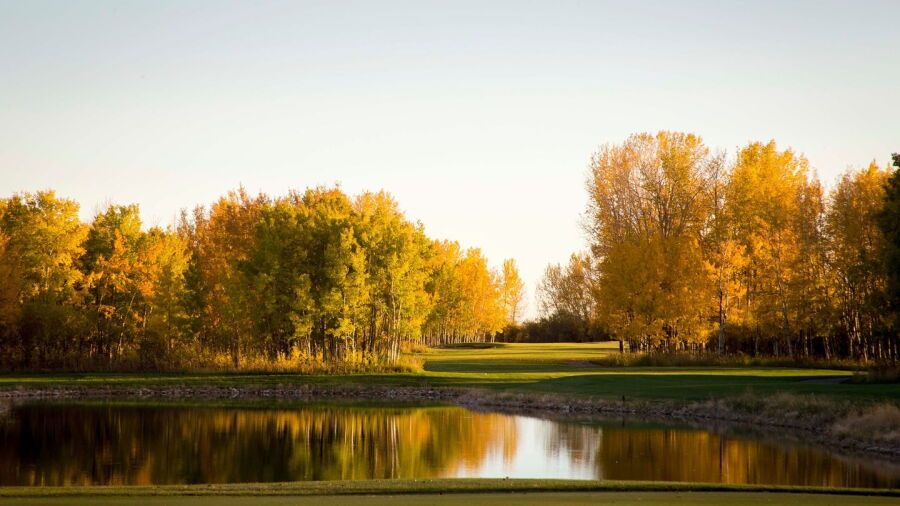 Serenity GC - Dancing Bull: #13
