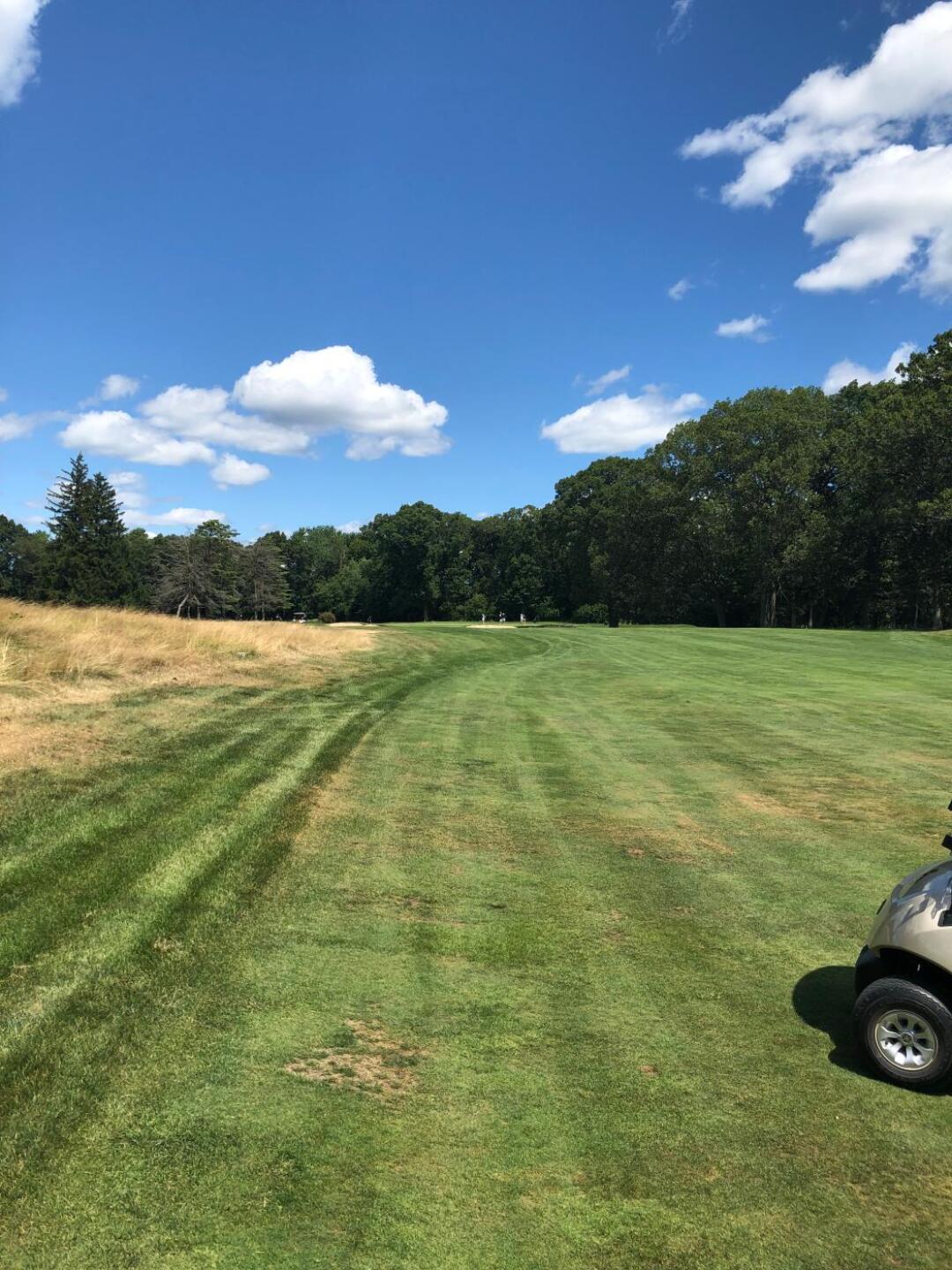 (Photo submitted by Richie4326581 on 08/12/2019)