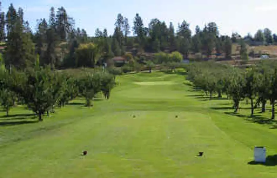 McCulloch Orchard Greens GC: #4