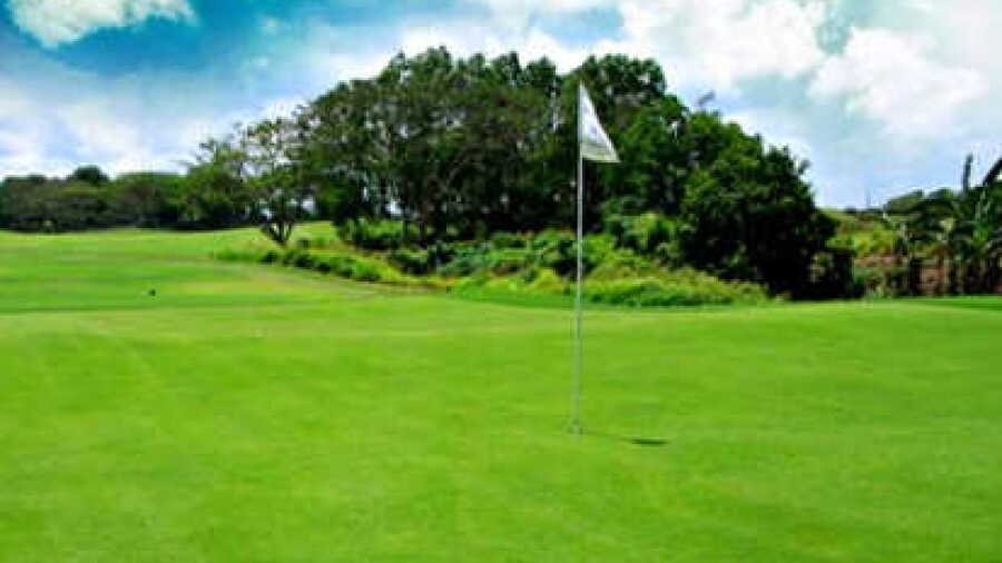 The Orchard GCC - Player