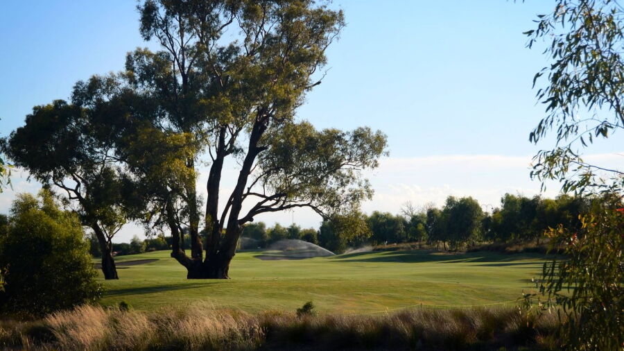 Black Bull GC