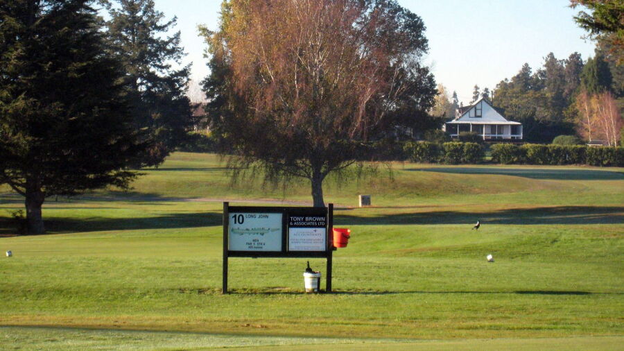 Morrinsville GC: #10