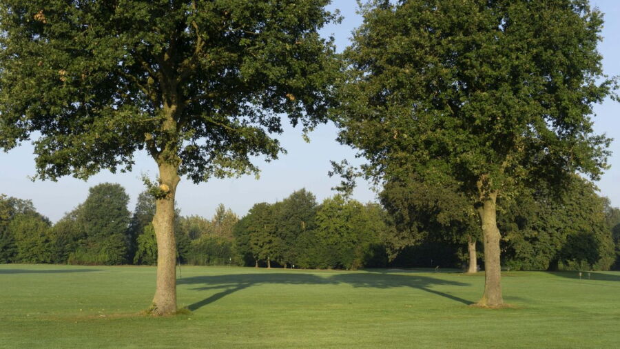 Almelo GC: #2