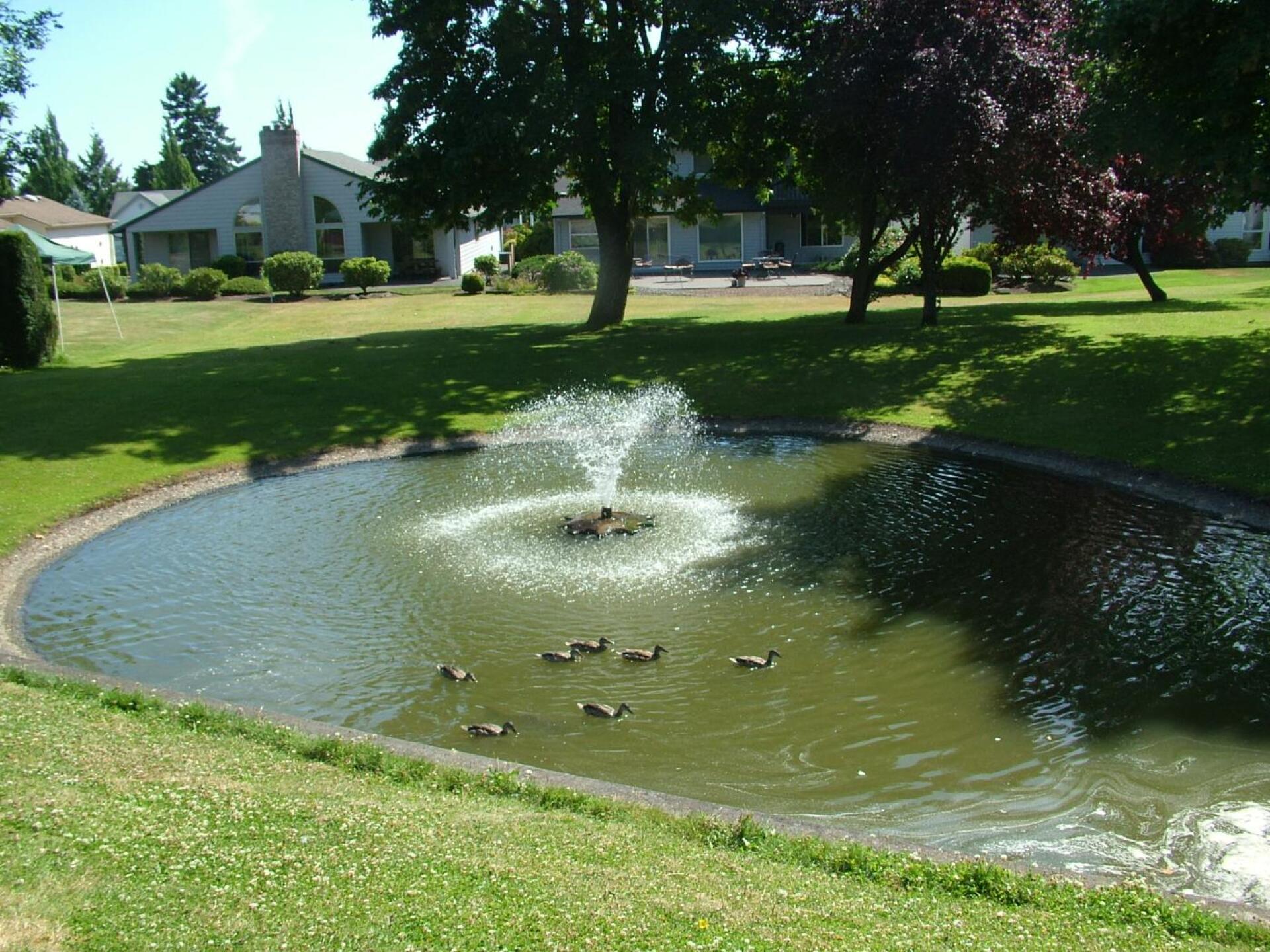 Pond on hole #3, one of two on this hole (Photo submitted by A0rnmhlCZCq44uZvFvl8 on 11/20/2019)
