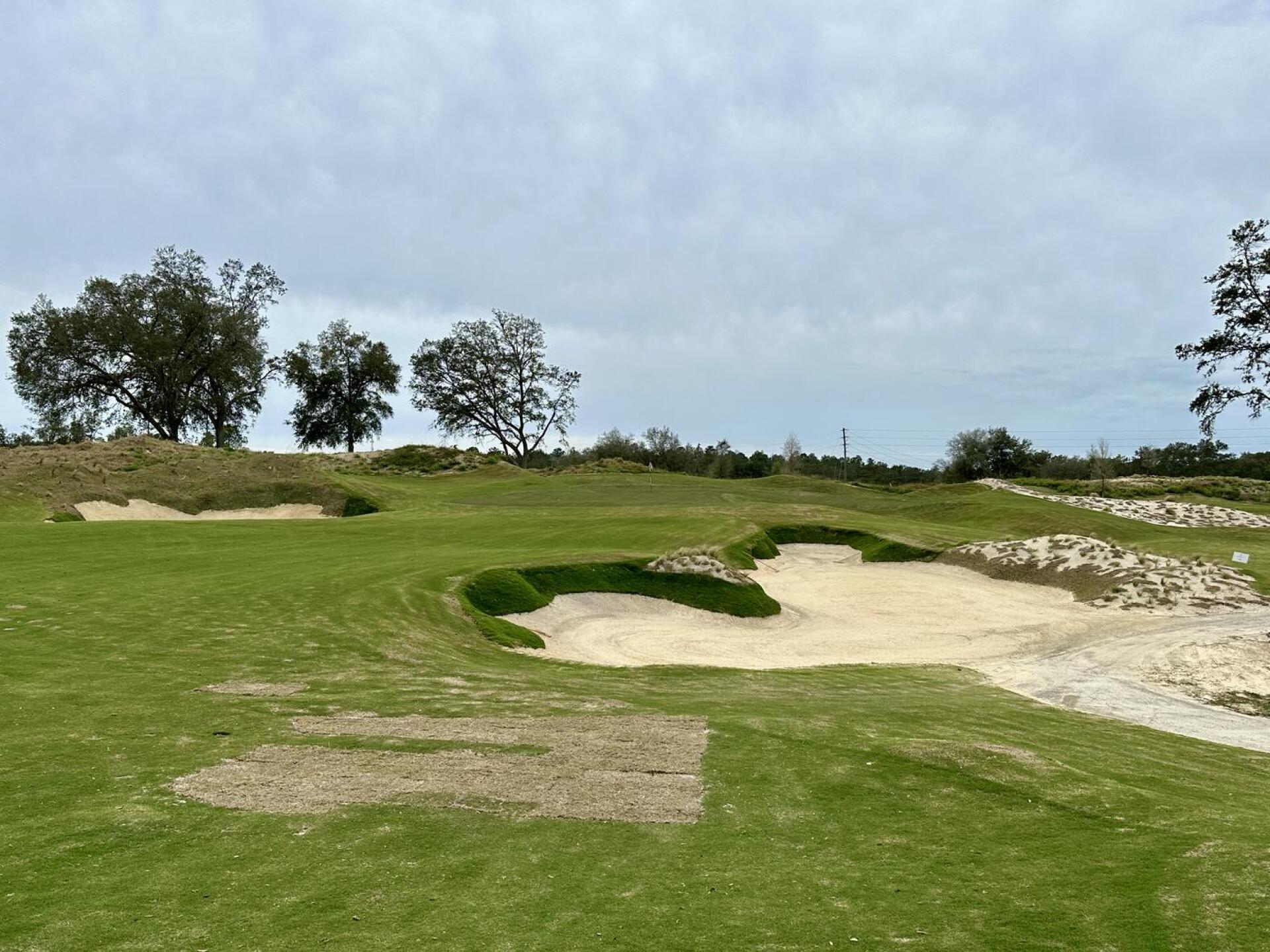 The Squeeze at Cabot Citrus Farms (Photo submitted by TimGavrichGP on 08/07/2024)