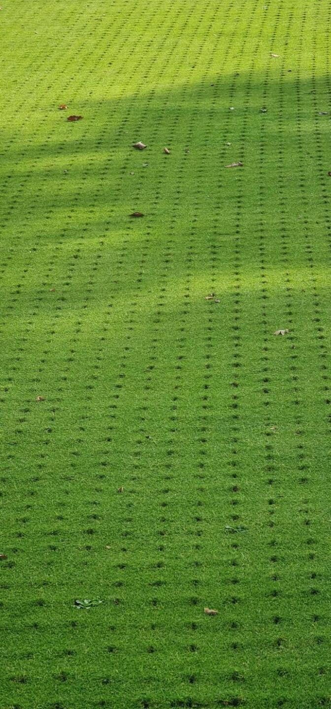 Every green (Photo submitted by ck2782 on 09/18/2020)