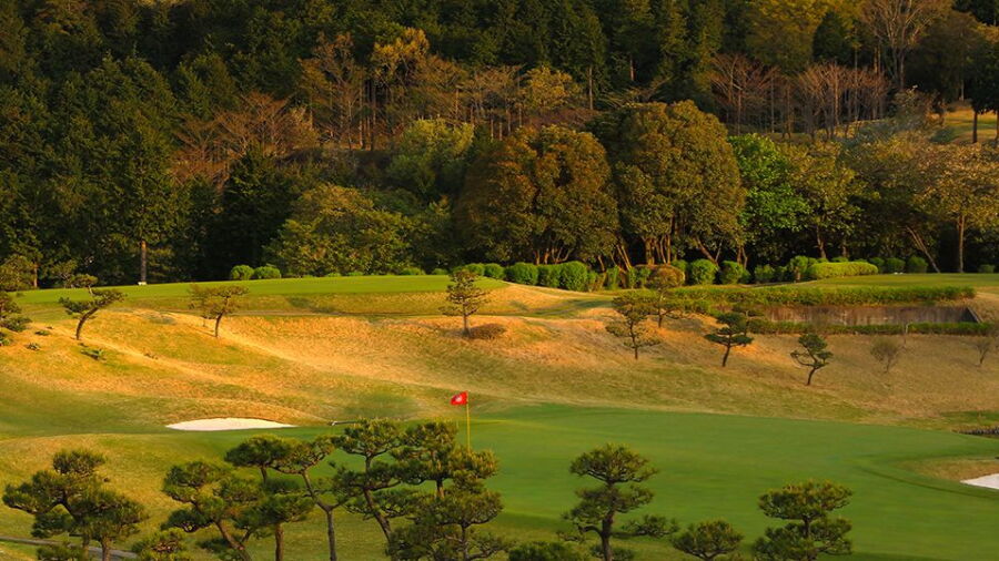 Grand Fields CC: #15