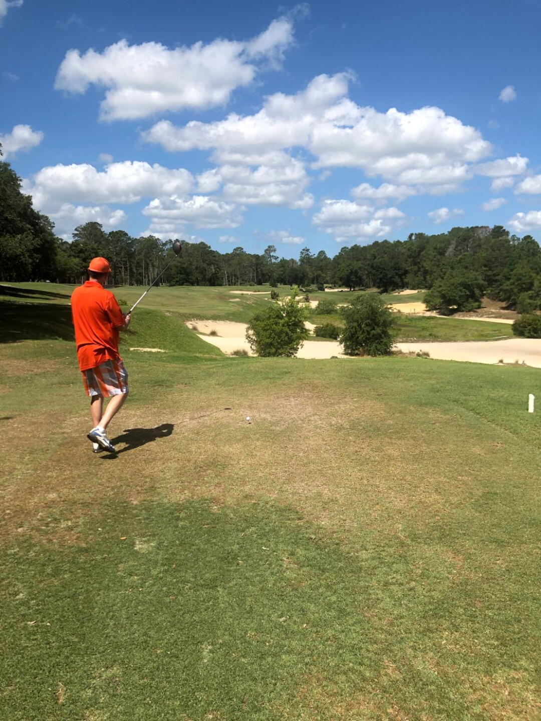 (Photo submitted by Richie4326581 on 05/02/2019)