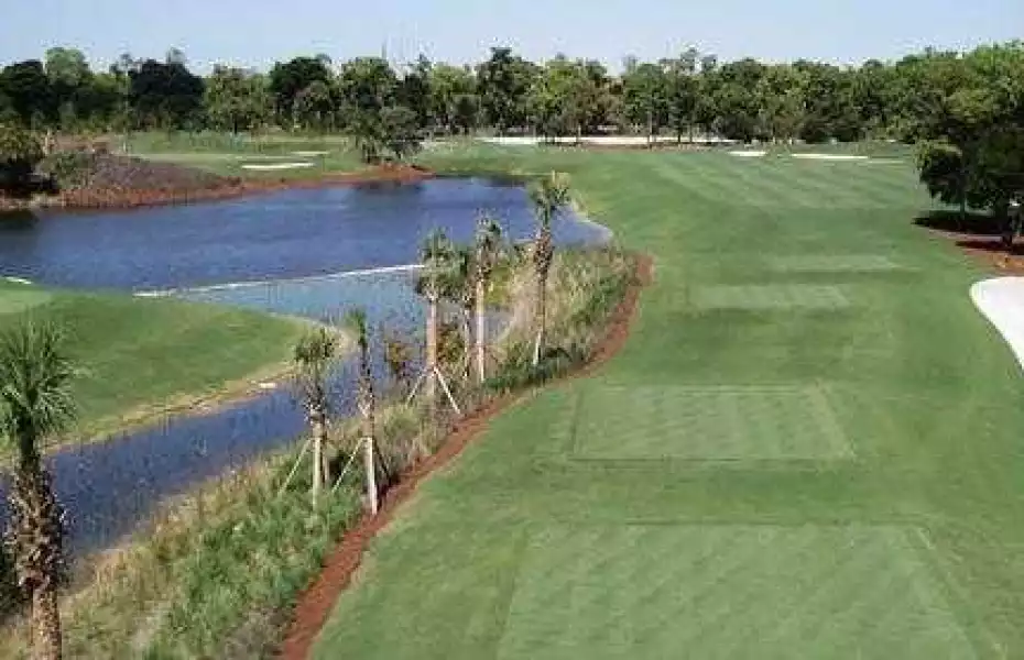 Pines at Royal Poinciana GC: #2