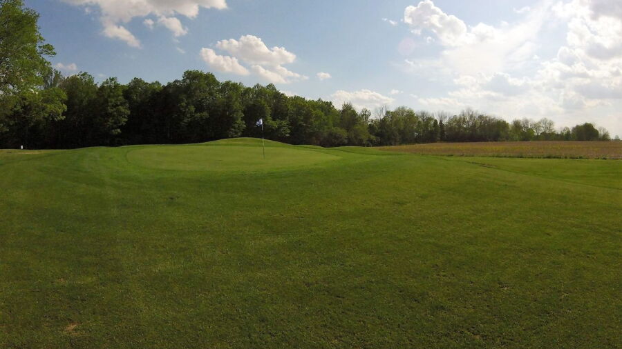 Elwood Golf Links: #6