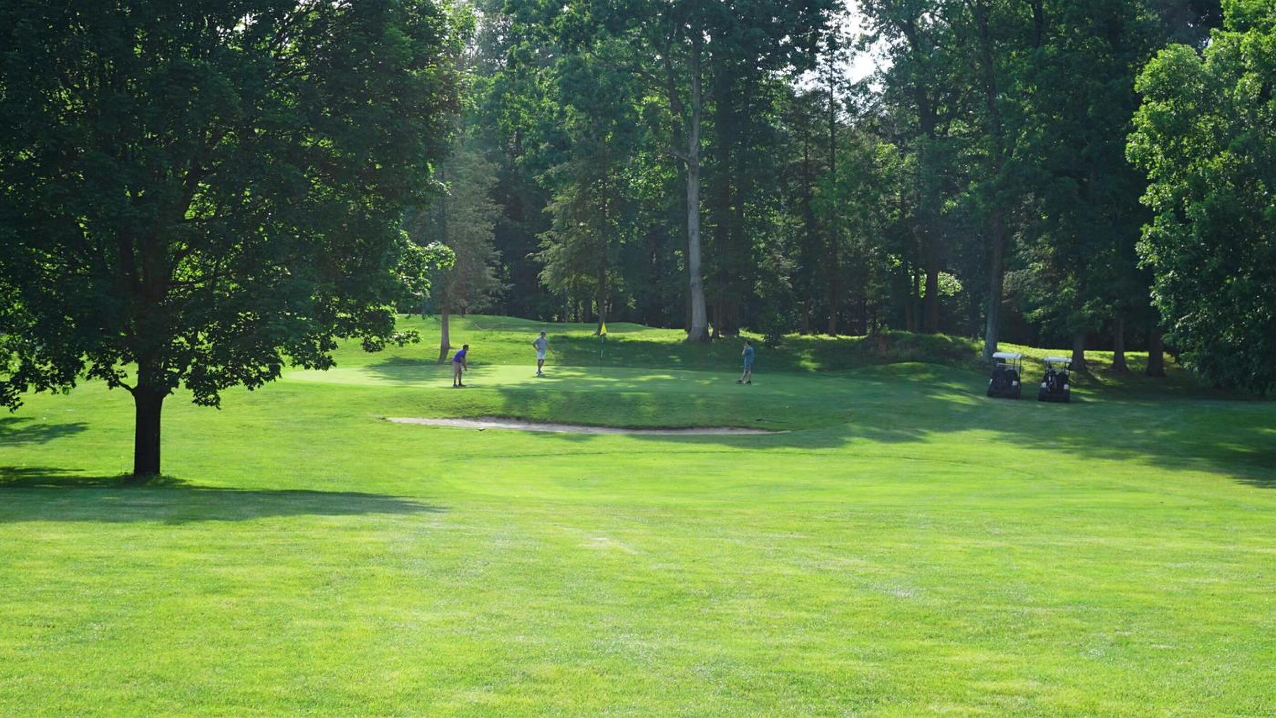 As I found out at the ninth, these three golfers really enjoyed their round today at Gainfield. (Photo submitted by AptlyLinked on 06/06/2021)