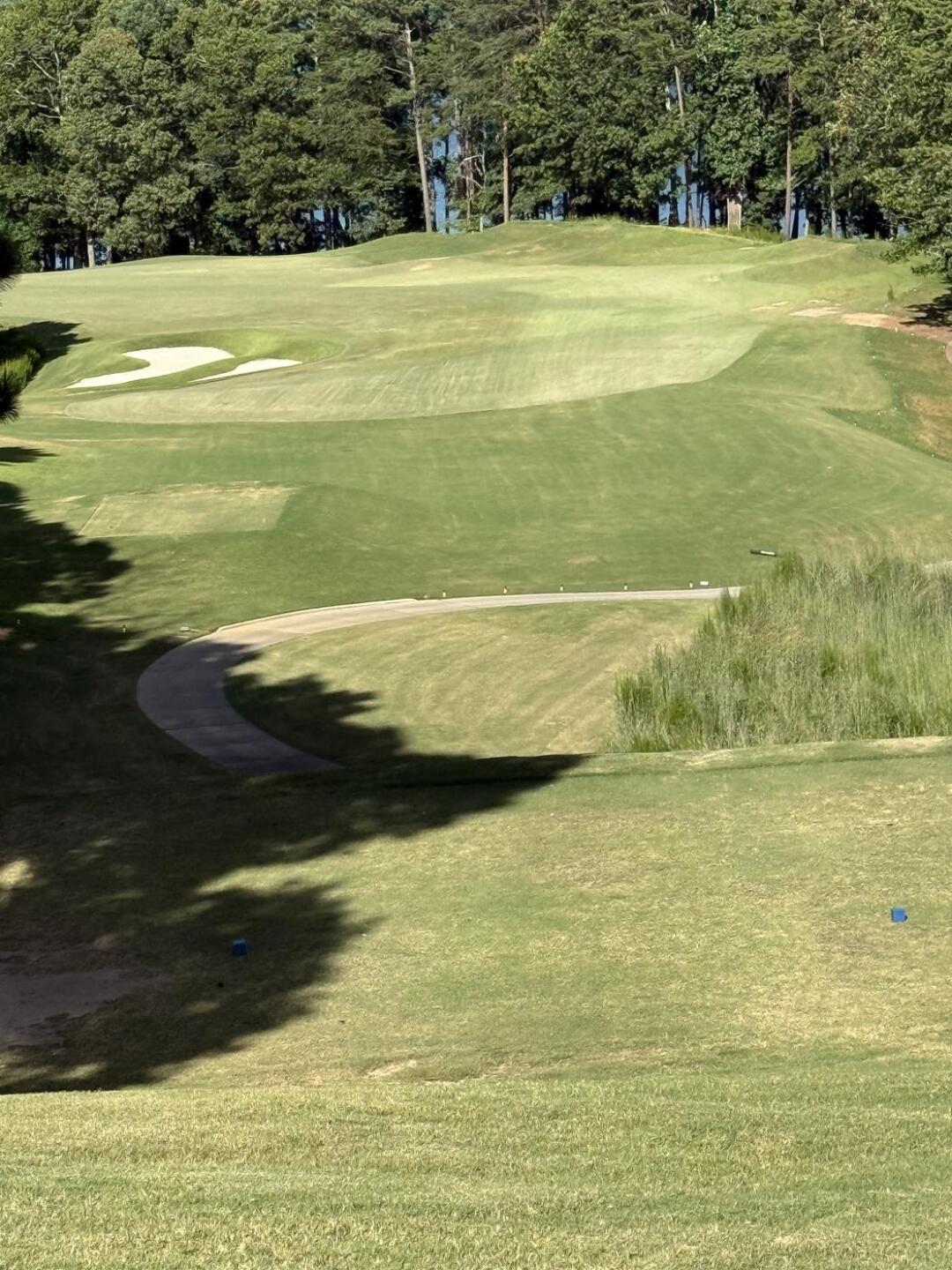 (Photo submitted by Michaelreber on 07/25/2025)