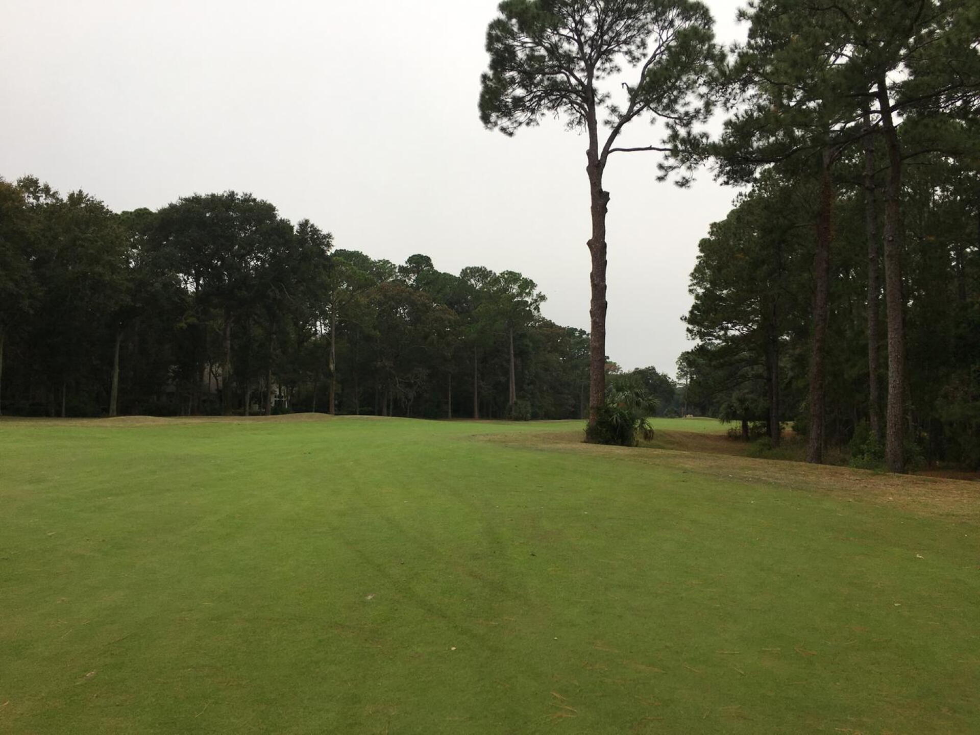 more fairways (Photo submitted by Azalea13 on 11/27/2018)