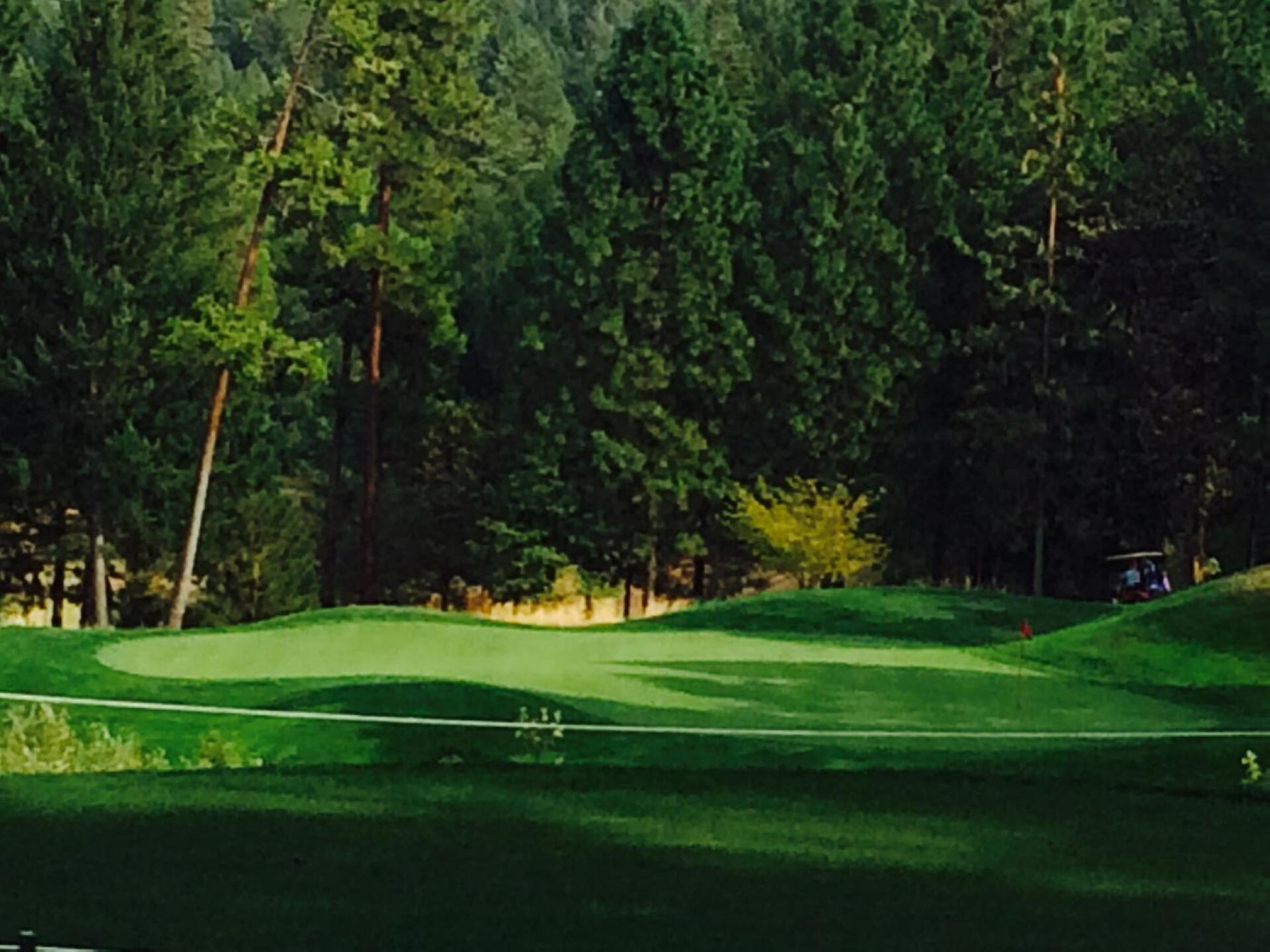 Apple Mountain Golf Resort (Photo submitted by eagles4me on 06/15/2016)