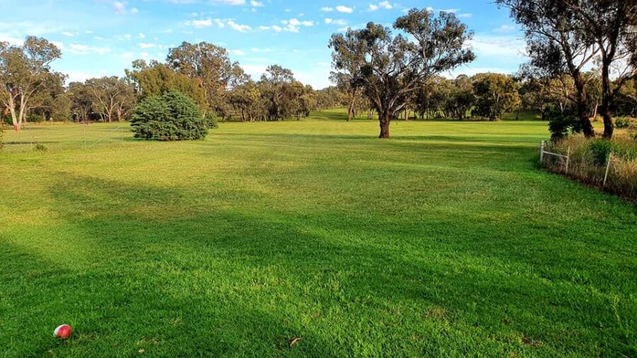 Cumnock GC: #1