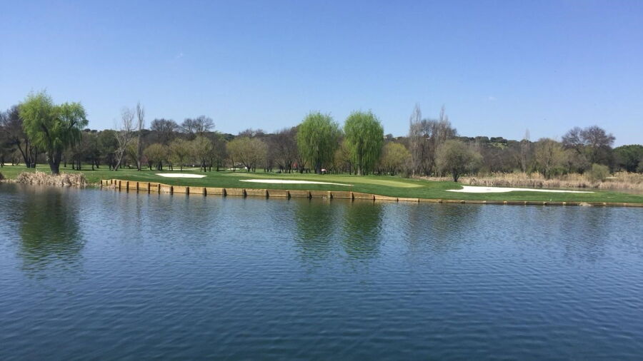 Lomas Bosque GC