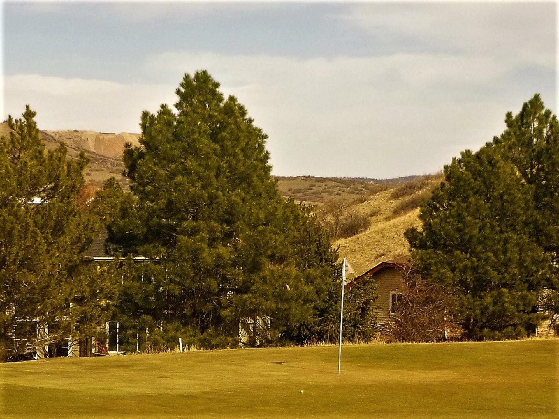 (Photo submitted by DiamondAces on 04/10/2023)